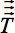 figure-protocol-7988