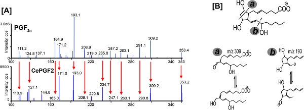 figure-results-4032