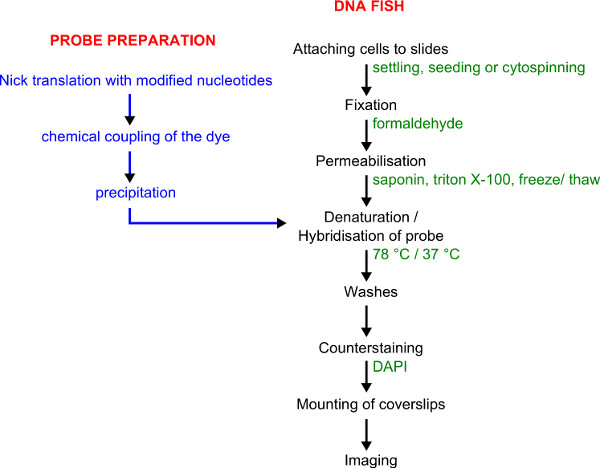 figure-representative results-1622