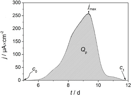 figure-representative results-14482