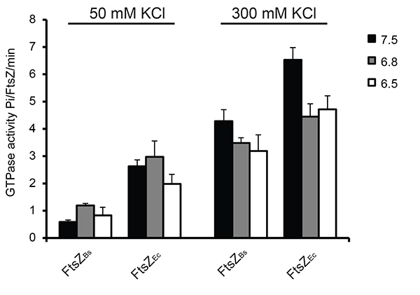 figure-representative results-13652