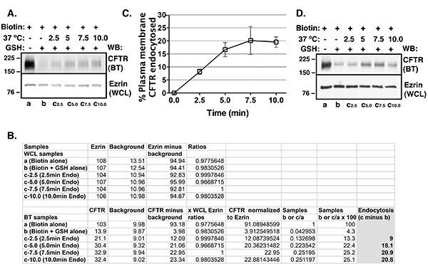 figure-results-5520