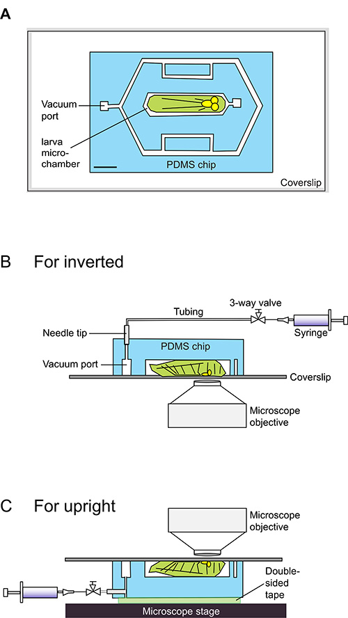 figure-results-6839