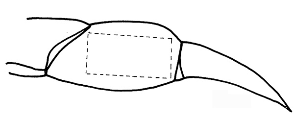 figure-protocol-1629