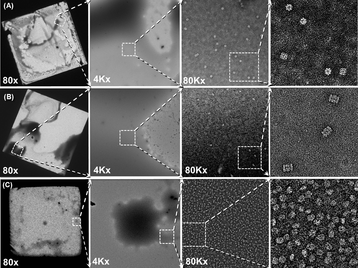 Microscopy analysis of crystal structures at 80x, 4Kx, 80Kx magnifications, highlighting detail.