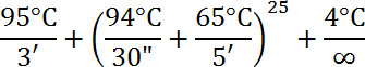 figure-protocol-5861