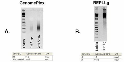 figure-representative results-4027