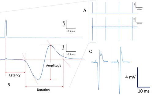 figure-protocol-4941