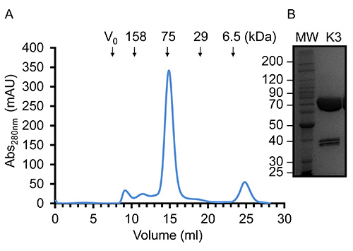 figure-results-9649