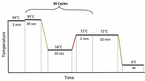 figure-protocol-7856