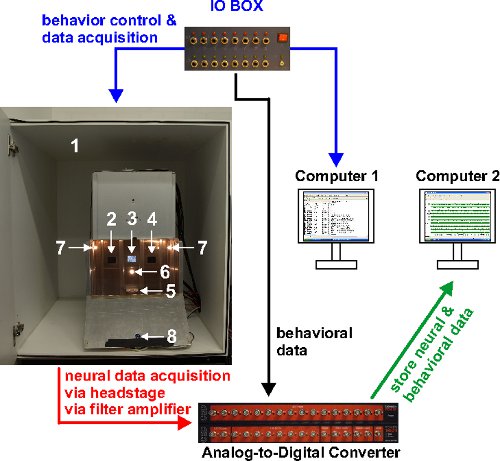 figure-protocol-4263