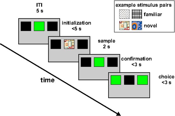 figure-protocol-10605