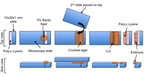 figure-results-3461