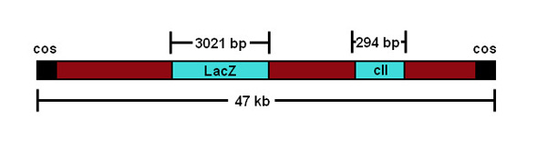 figure-representative results-7249