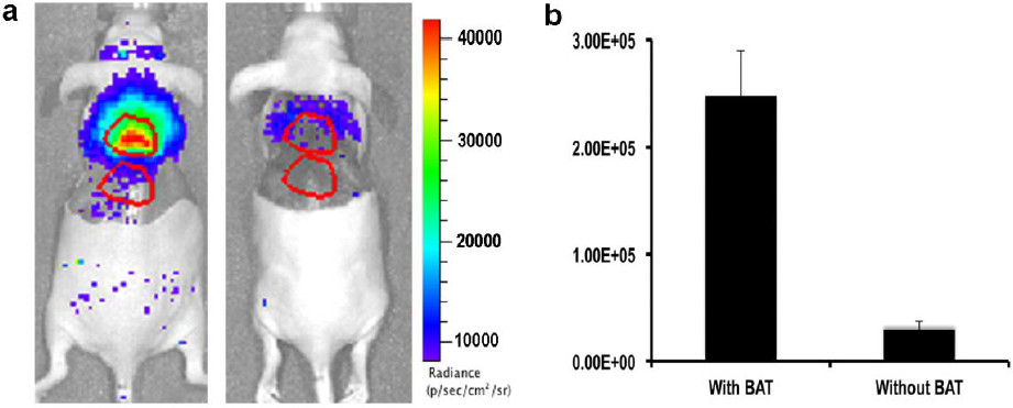 figure-representative results-5289