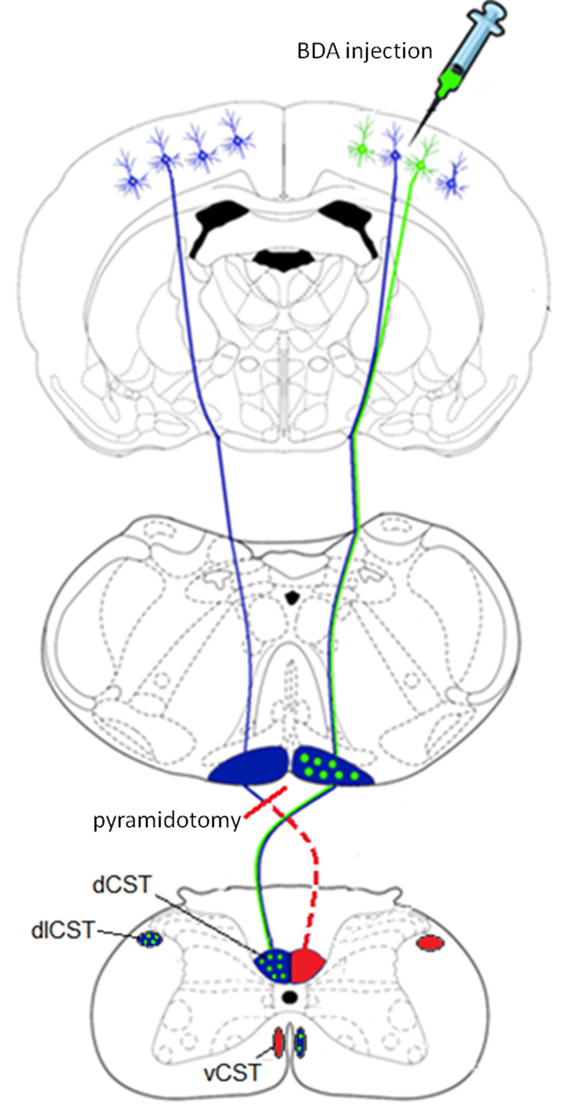 figure-results-8973