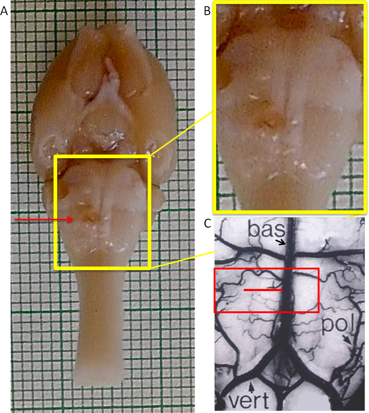 figure-results-9928
