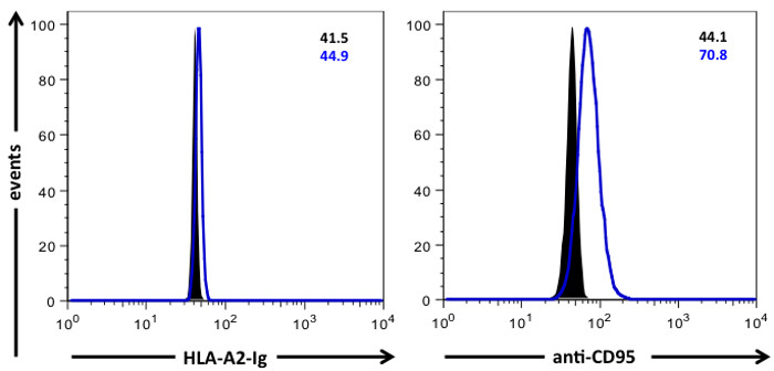 figure-protocol-3457