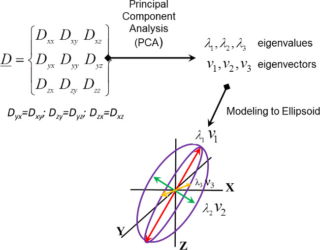 figure-protocol-12588
