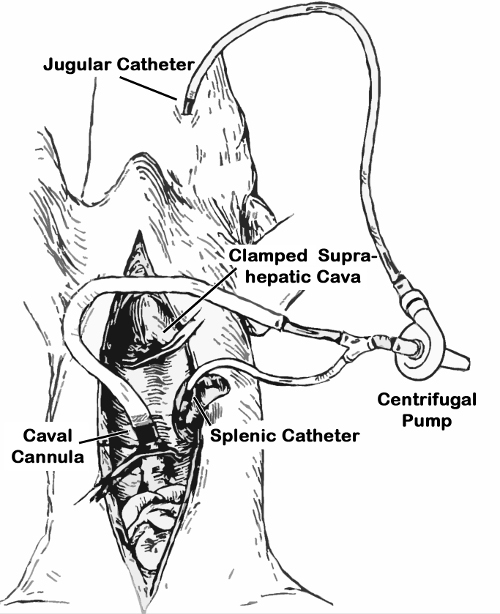 figure-results-2193