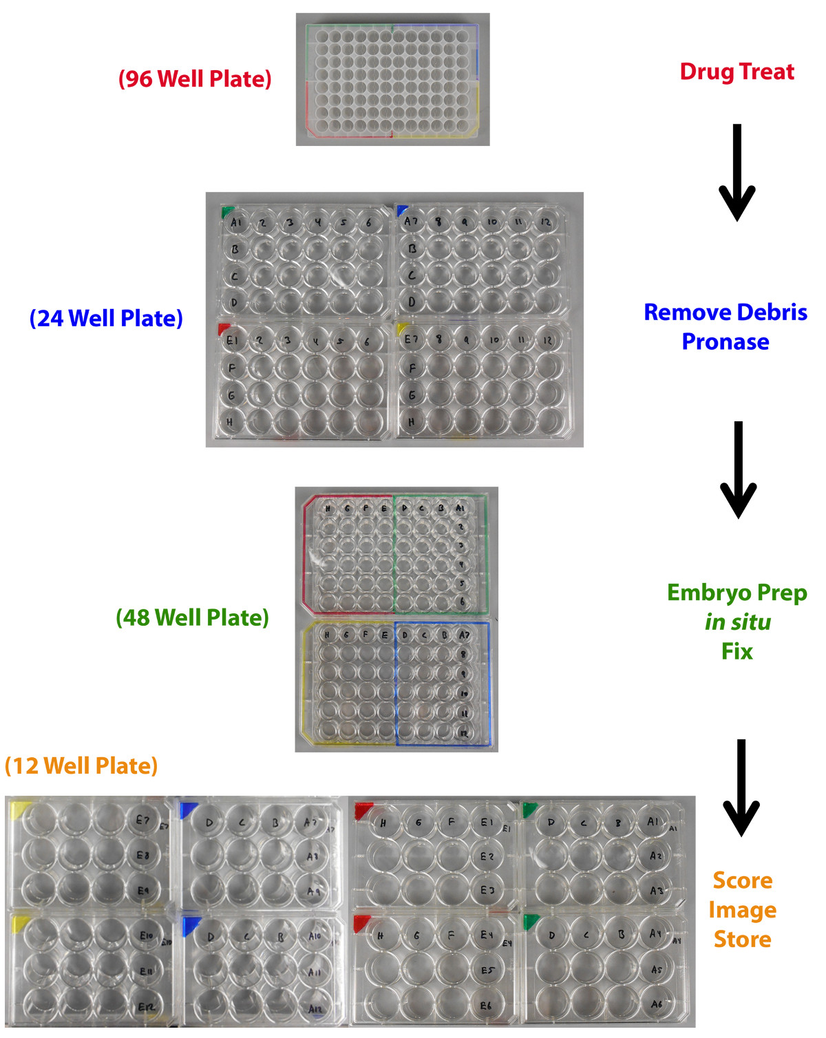 figure-representative results-7088