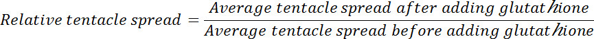 figure-protocol-3842