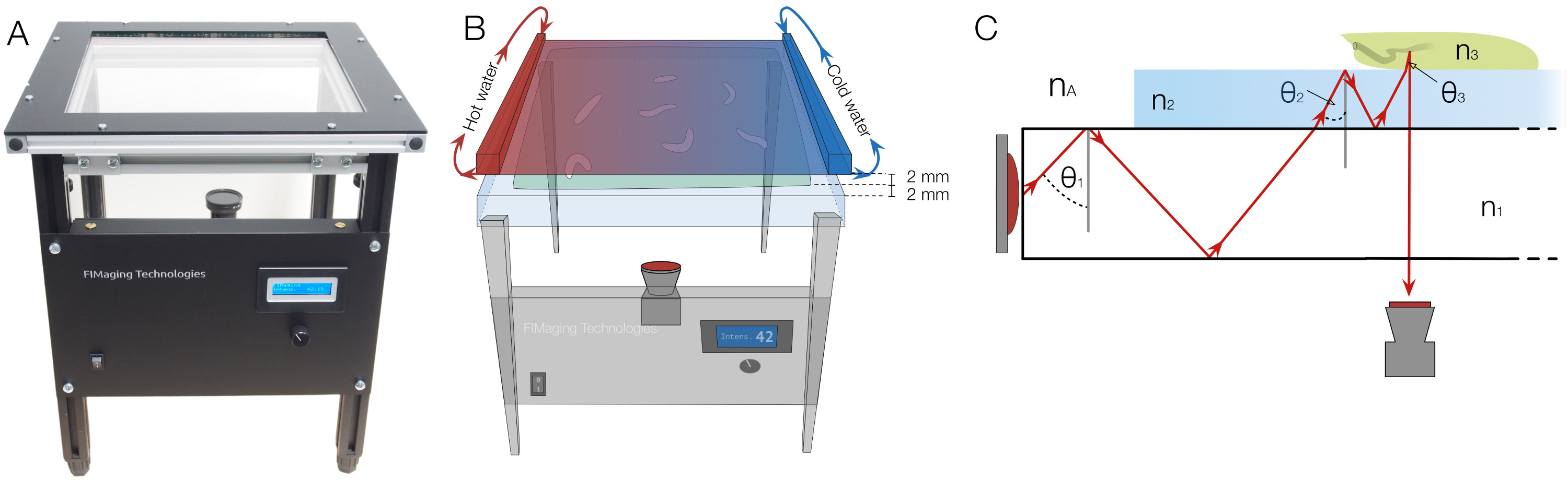 FIM Imaging and FIMtrack: Two New Tools Allowing High-throughput and ...