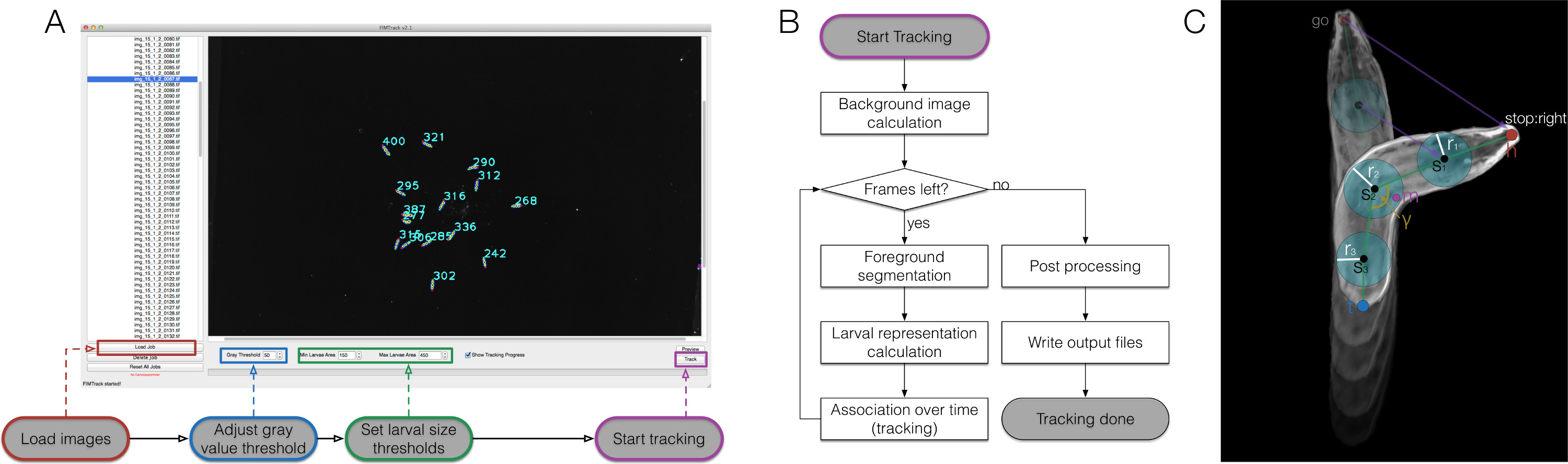 FIM Imaging and FIMtrack: Two New Tools Allowing High-throughput and ...