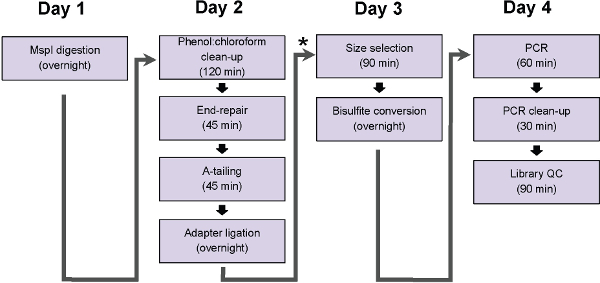 figure-representative results-4725