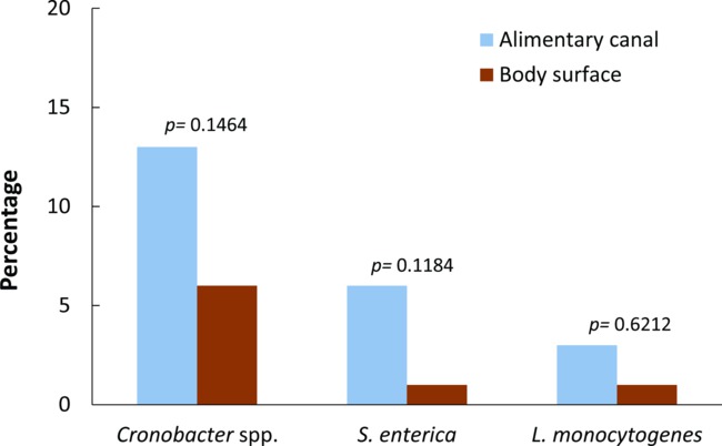 figure-results-5853