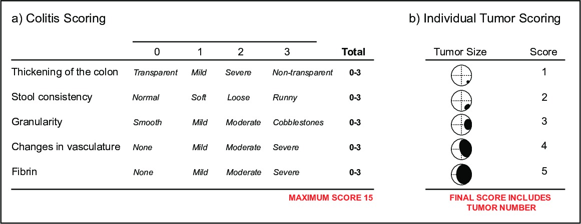 figure-results-3304
