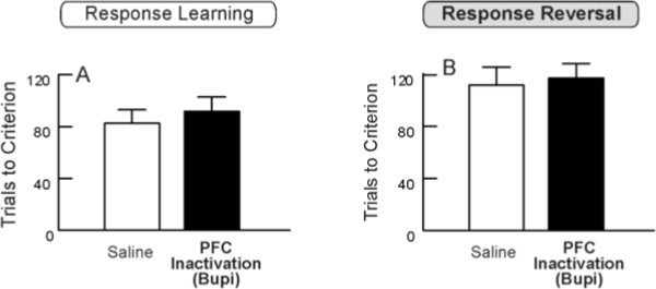 figure-results-3698