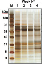 figure-results-3967