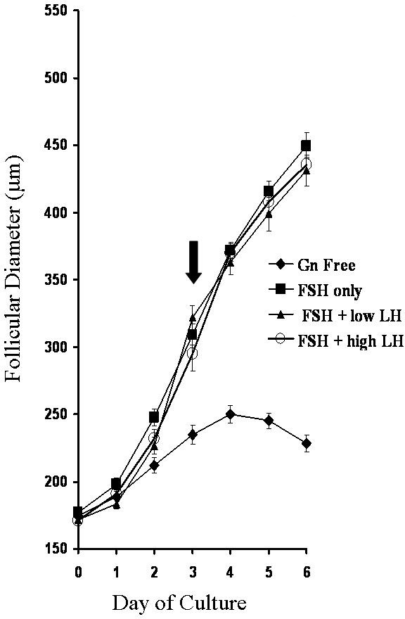 figure-representative results-3714