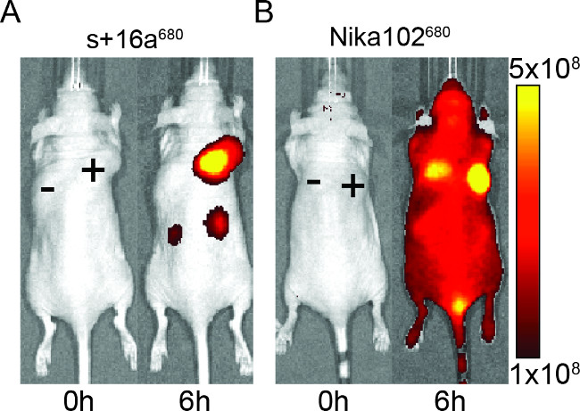 figure-representative results-3227