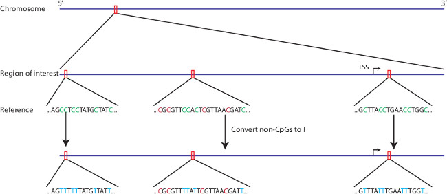 figure-representative results-2769