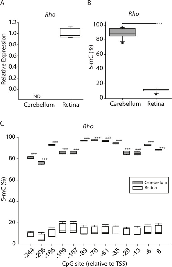 figure-representative results-5576