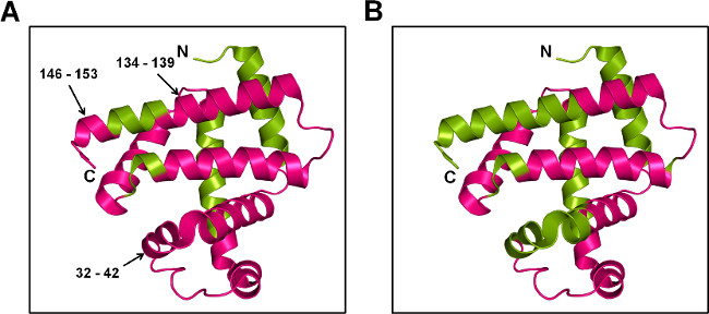 figure-representative results-11672