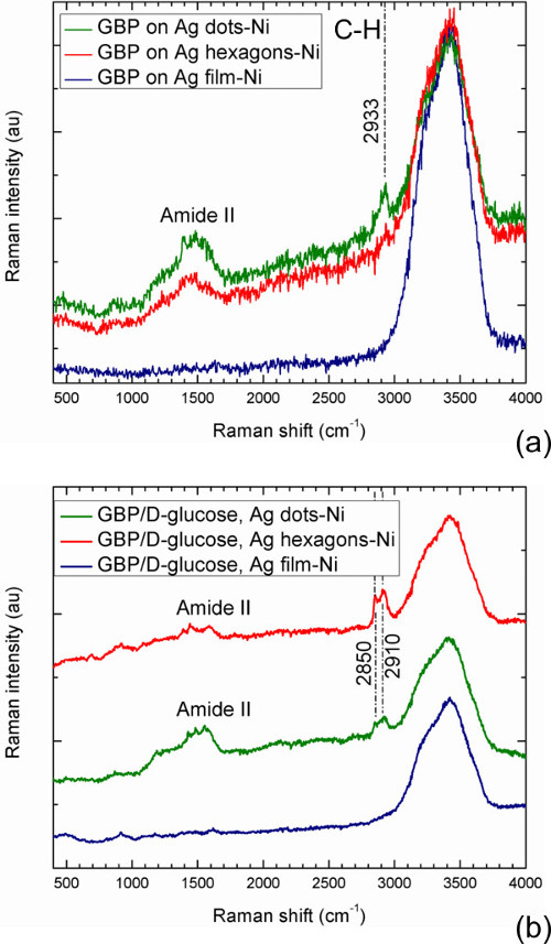 Surface Enhanced Raman Spectroscopy Detection Of Biomolecules Using EBL ...