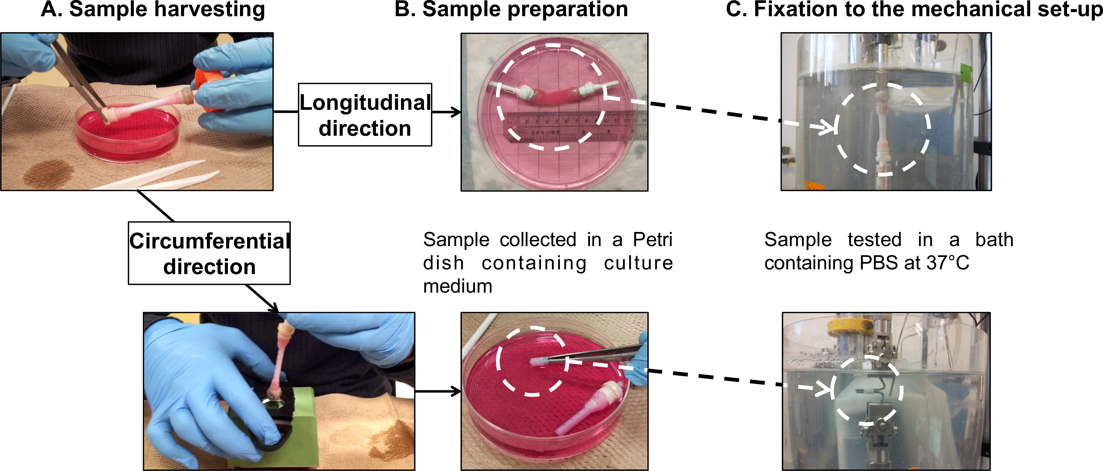 figure-representative results-6871