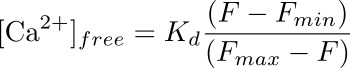 figure-protocol-12147