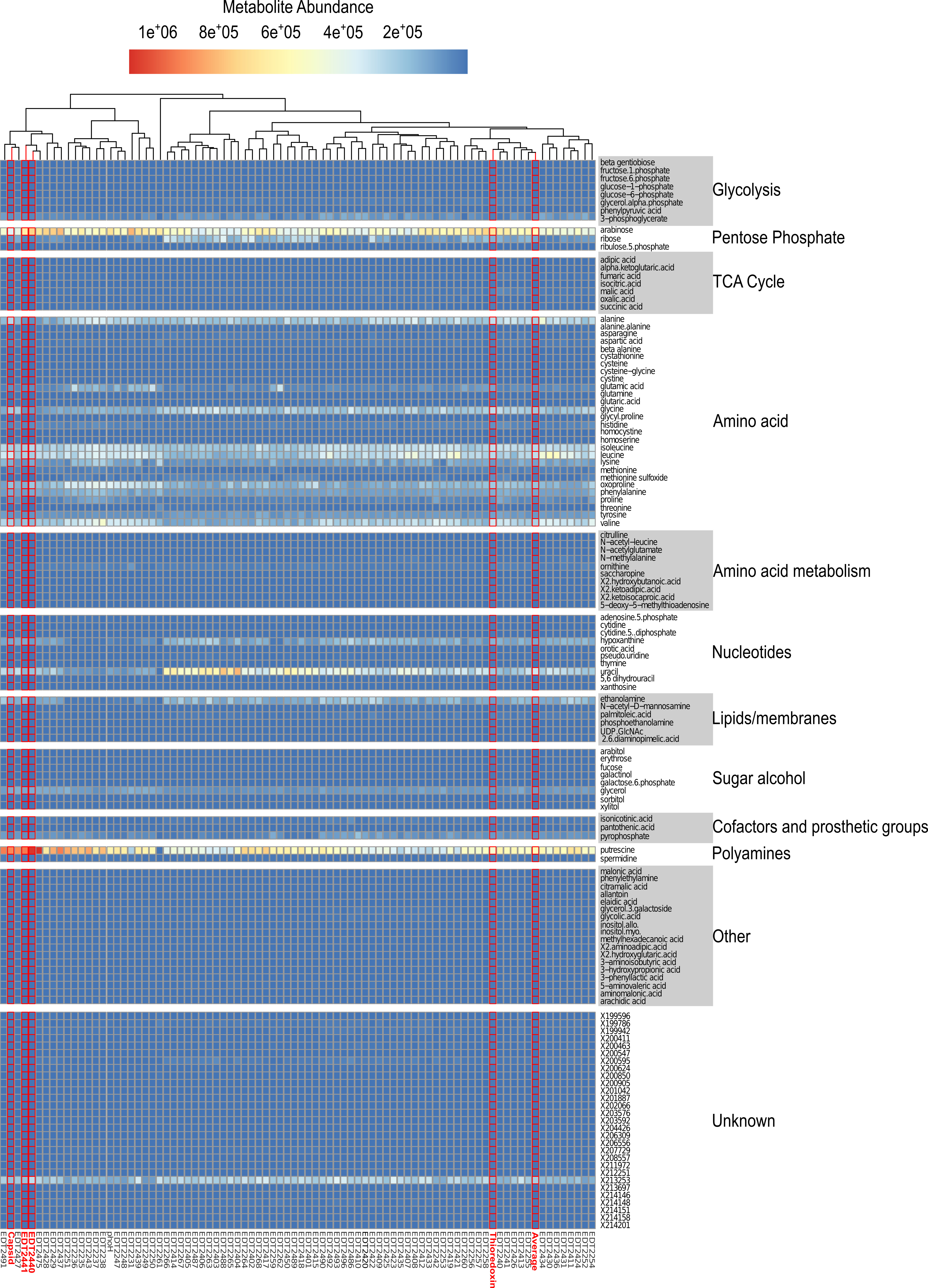 figure-representative results-16161