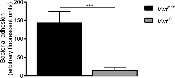 figure-results-7989