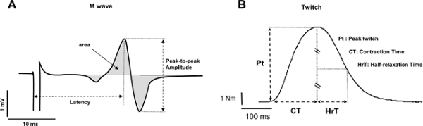 figure-protocol-11576