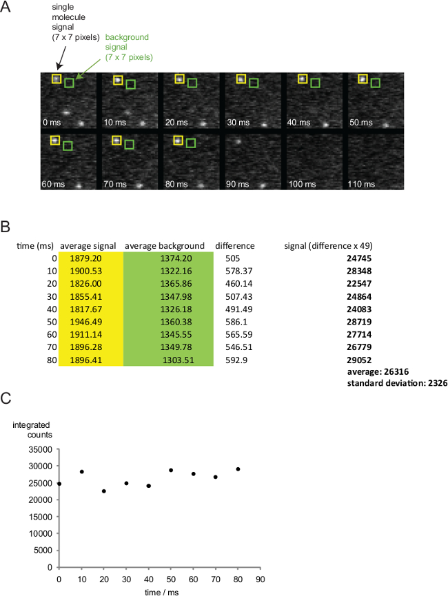 figure-representative results-11628