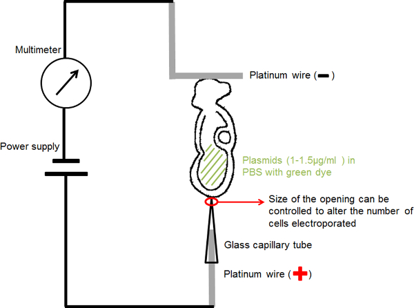 figure-representative results-6395