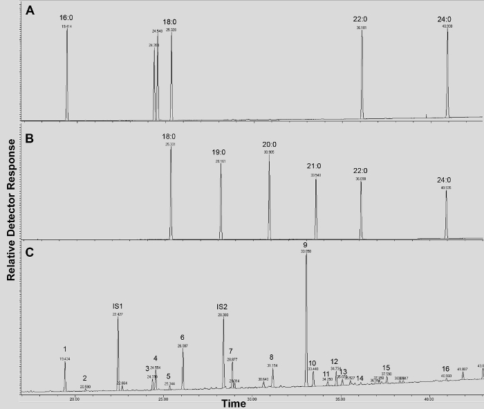 figure-results-5256