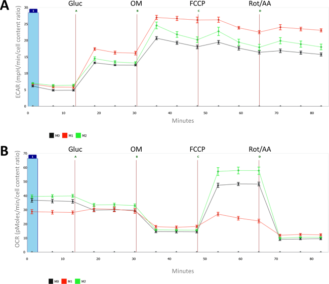 figure-representative results-3323