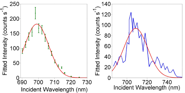 Resonance Raman Spectroscopy of Extreme Nanowires and Other 1D