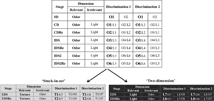 figure-protocol-12570